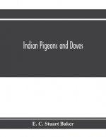 Indian pigeons and doves