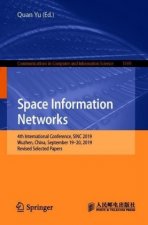 Space Information Networks