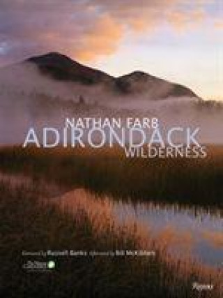 Adirondack