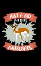 Just A Boy Who Loves Antelopes: Animal Nature Collection
