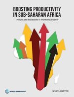 Boosting Productivity in Sub-Saharan Africa
