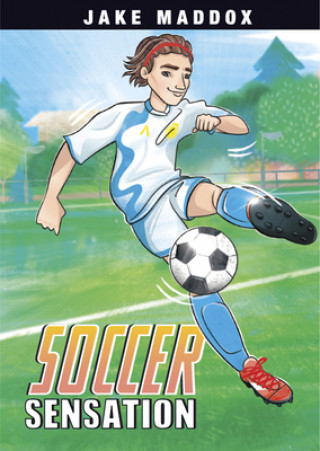 Soccer Sensation