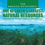 Amazon Rainforest