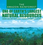 Amazon Rainforest