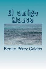 El amigo Manso
