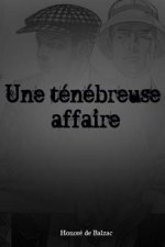 Une ténébreuse affaire