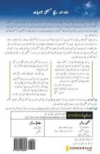 Christian Beliefs (Urdu): Twenty Basics Every Christian Should Know