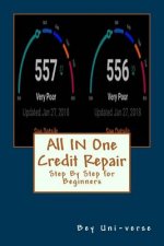 All IN One Credit Repair: Step By Step for Beginners