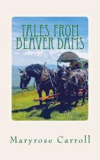 Tales from Beaver Dams: What you don't know about Appalachian Mountain life