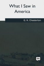 What I Saw in America