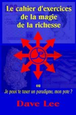 Le cahier d'exercices de la magie de la richesse: ou je peux te taxer un paradigme, mon pote ?