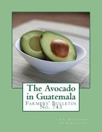 The Avocado in Guatemala: Farmers' Bulletin No. 743