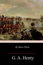 By Sheer Pluck: A Tale of the Ashanti War