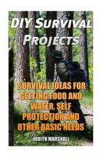 DIY Survival Projects: Survival Ideas For Getting Food and Water, Self Protection And Other Basic Needs