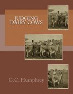 Judging Dairy Cows