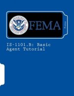 Is-1101.B: Basic Agent Tutorial