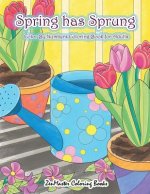 Adult Color By Numbers Coloring Book of Spring