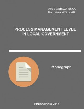 Process Management Level in Local Government: Monograph