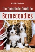 Complete Guide to Bernedoodles