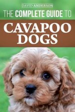 Complete Guide to Cavapoo Dogs