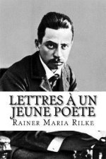 Lettres ? un jeune po?te