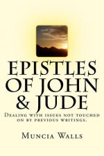 Epistles of John & Jude: Dealing with issues not touched on by previous writings.
