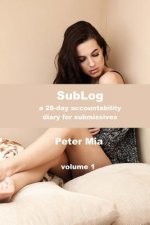 SubLog: a 28-day accountability diary for submissives