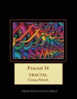 Fractal 14