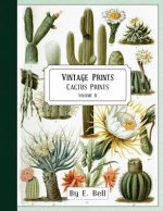Vintage Prints: Cactus Prints