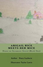 Abigail Rice Meets Her Mice: Down on Sycamore Street (Book One)