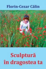Sculptura in Dragostea Ta: Versuri