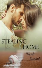 Stealing Home A Complicated Story: A New Adult Erotic Romance