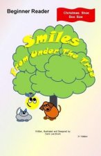 Smiles From Under The Tree: Christmas Shoe Box Size