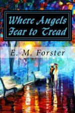 Where Angels Fear to Tread