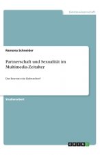Partnerschaft und Sexualität im Multimedia-Zeitalter
