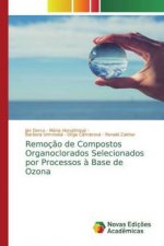 Remoç?o de Compostos Organoclorados Selecionados por Processos ? Base de Ozona