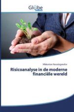 Risicoanalyse in de moderne financiele wereld