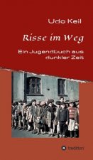 Risse im Weg