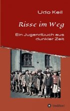 Risse im Weg