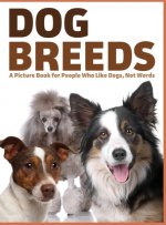 Dog Breeds