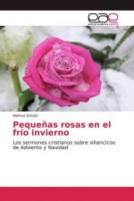 Peque?as rosas en el frío invierno