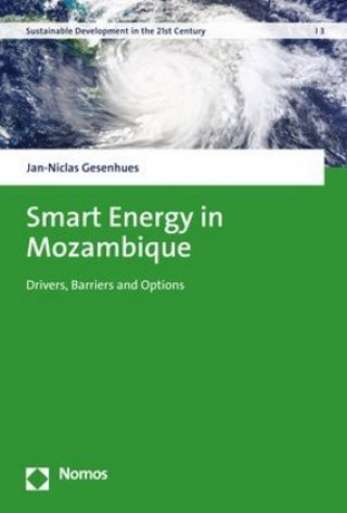 Smart Energy in Mozambique