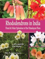 Rhododendrons in India