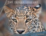 Indian Leopard