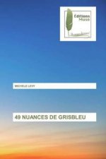 49 NUANCES DE GRISBLEU