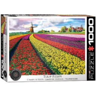 Tulpenfelder Niederlande (Puzzle)