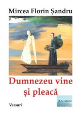 Dumnezeu Vine Si Pleaca: Versuri