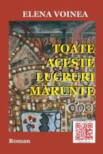 Toate Aceste Lucruri Marunte: Roman