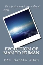 Evolution Of Man To Human