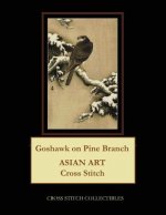 Goshawk on Pine Branch